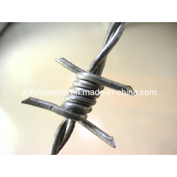 Hot Sale Barbed Wire (factory)